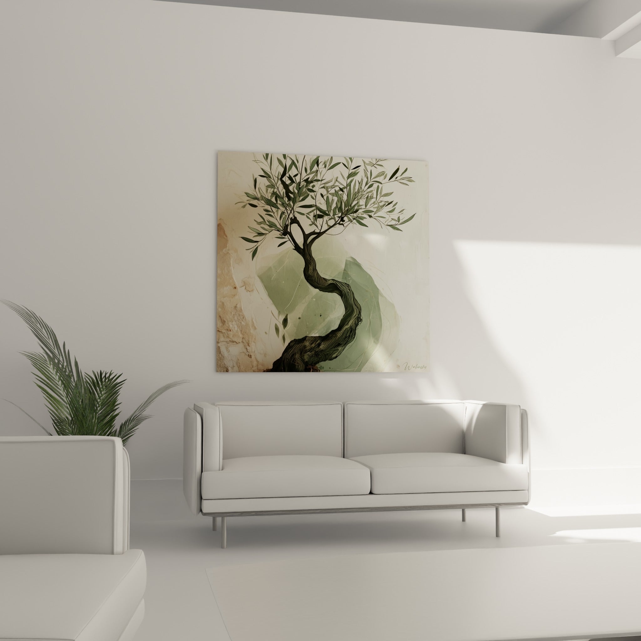 Tronc sinueux et branches vert olive de cet olivier, au-dessus d'un canapé dans un salon lumineux