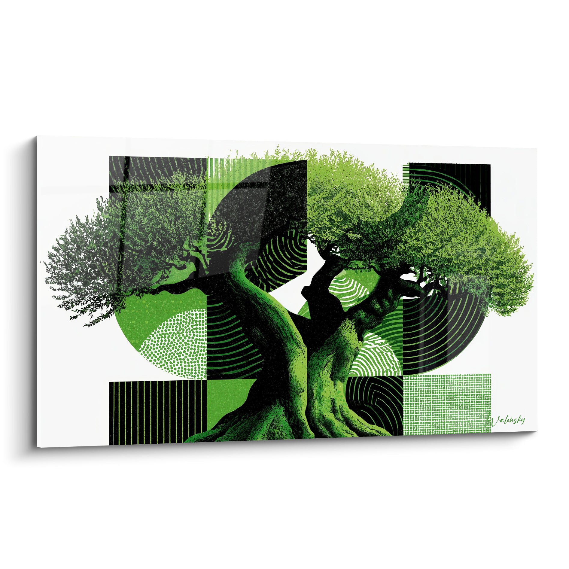 Olivier au tronc vert émeraude sculpté devant un fond graphique noir et blanc géométrique