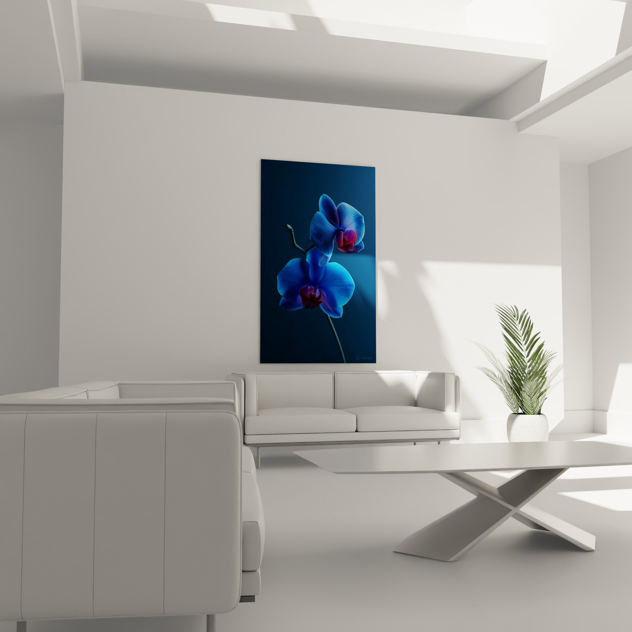 Pétales bleu profond et cœur bordeaux de l'orchidée accrochés au-dessus d'un canapé dans un salon lumineux