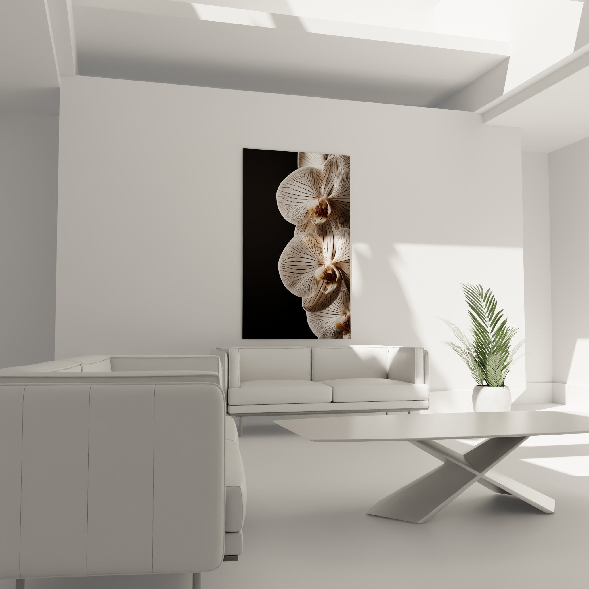 Pétales d'orchidée blancs et bruns accrochés au-dessus d'un canapé dans un salon lumineux