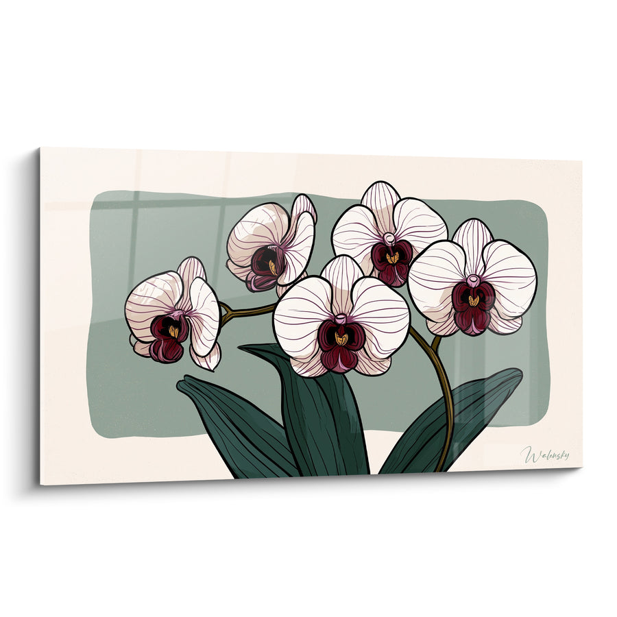 Tableau Orchidées blanches et grenat aux nervures fines sur fond sauge - Illustration graphique contour noir - Edition Orchidée