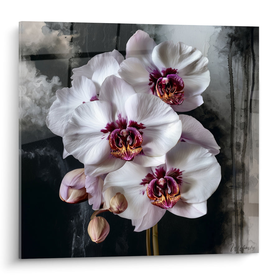 Tableau Orchidées blanches aux cœurs pourpres et dorés - Souffle délicat - Edition Orchidée