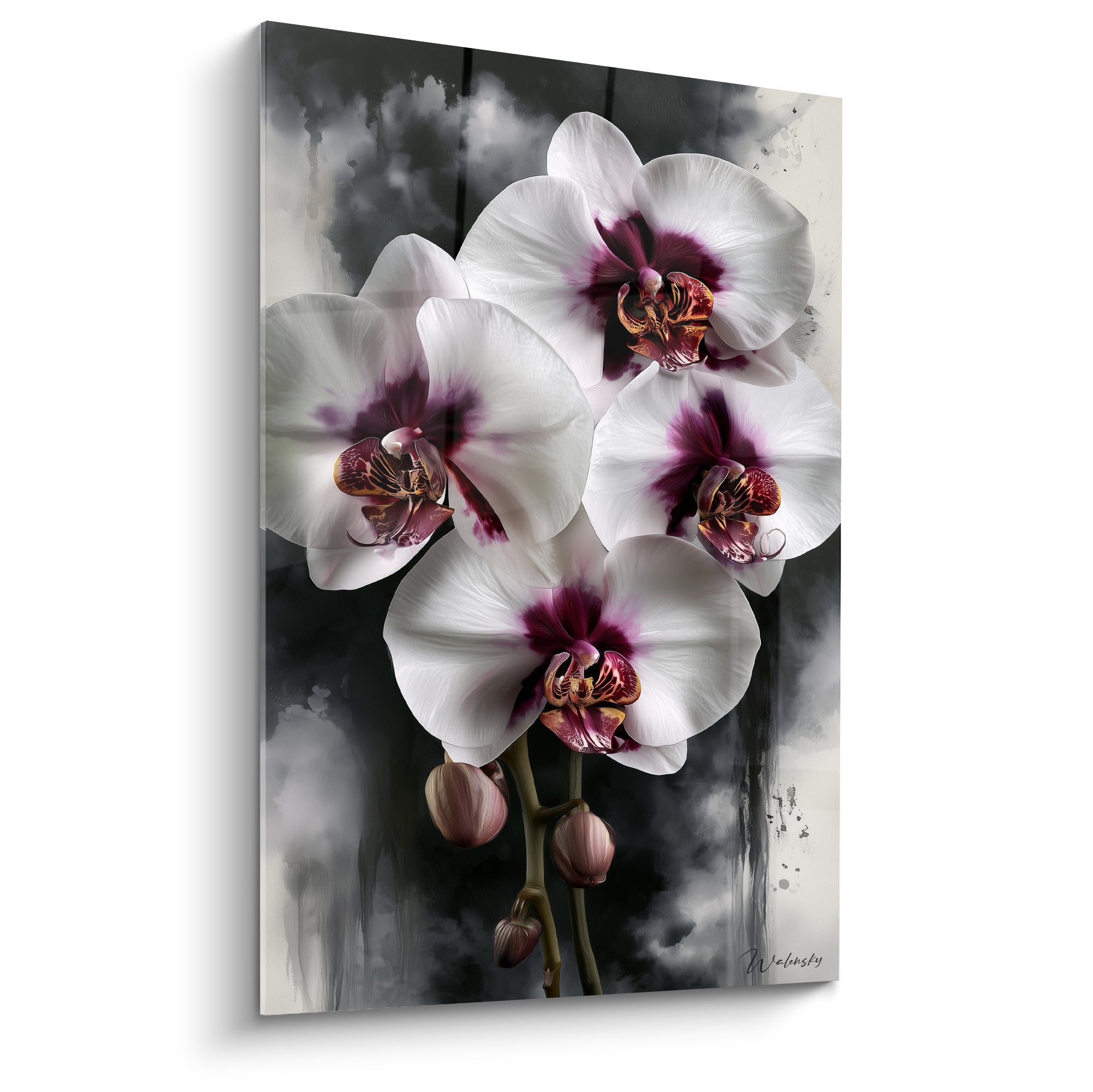 Orchidées blanches aux cœurs pourpres et dorés se détachant sur fond gris brumeux texturé