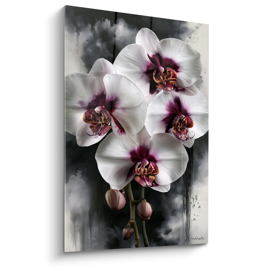 Orchidées blanches aux cœurs pourpres et dorés se détachant sur fond gris brumeux texturé
