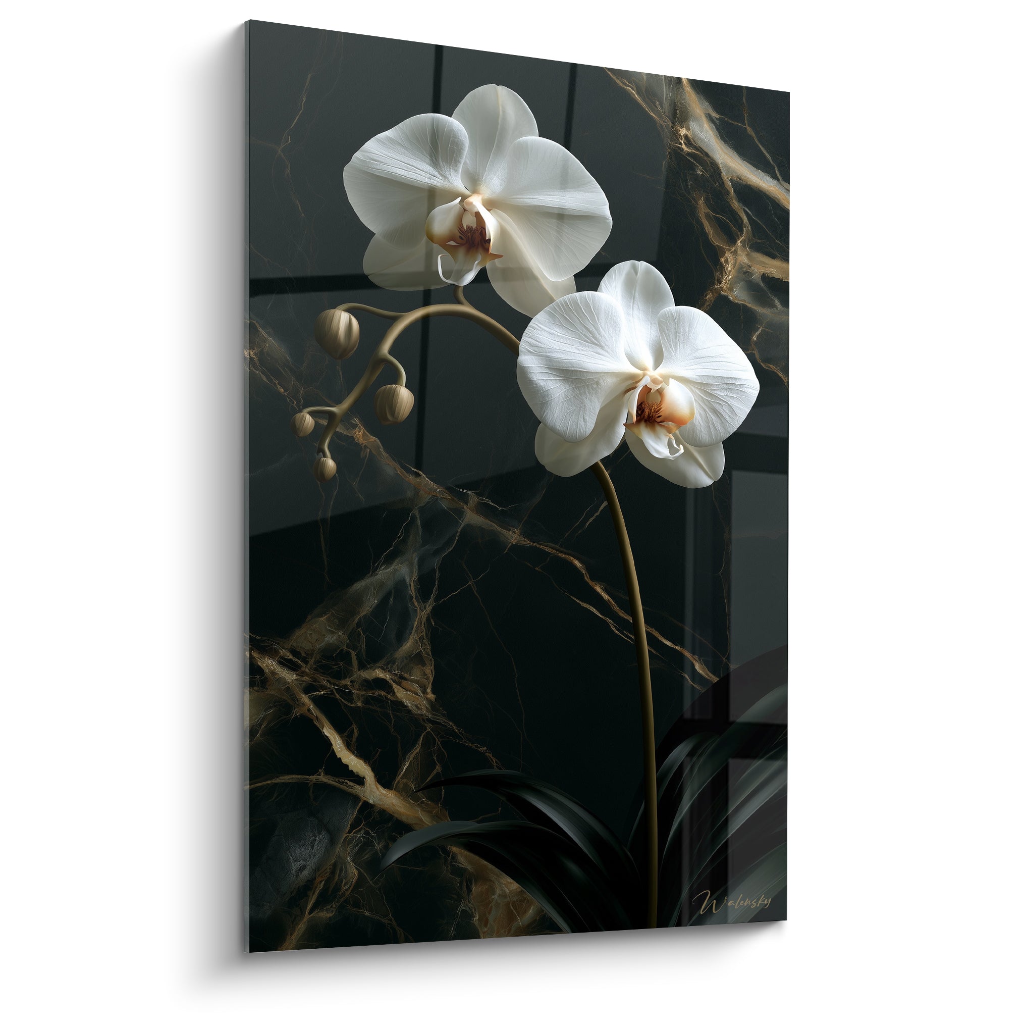 Orchidée blanche aux pétales délicats sur fond marbré anthracite et veines dorées