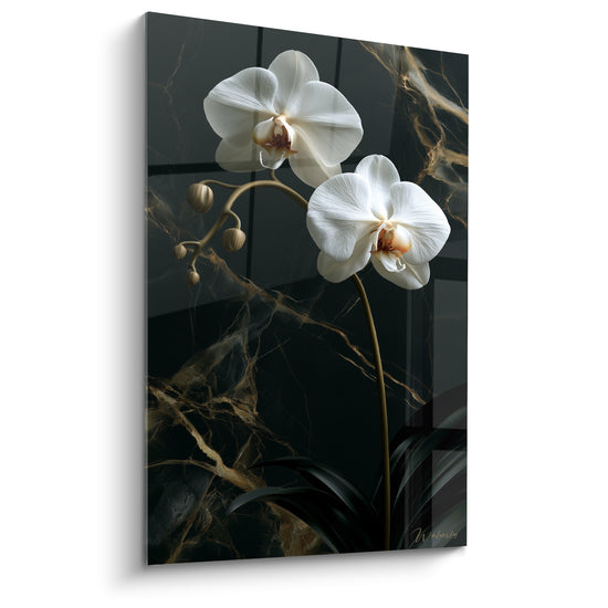 Tableau Orchidées blanches et noires sur marbre veiné doré - Boutons en grappe repliés - Edition Orchidée