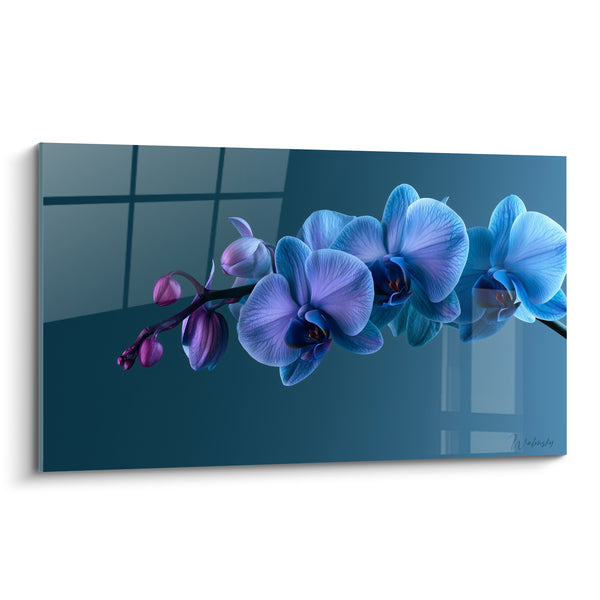 Tableau Orchidées bleues et violettes sur fond sarcelle - Fraîcheur nocturne - Edition Orchidée