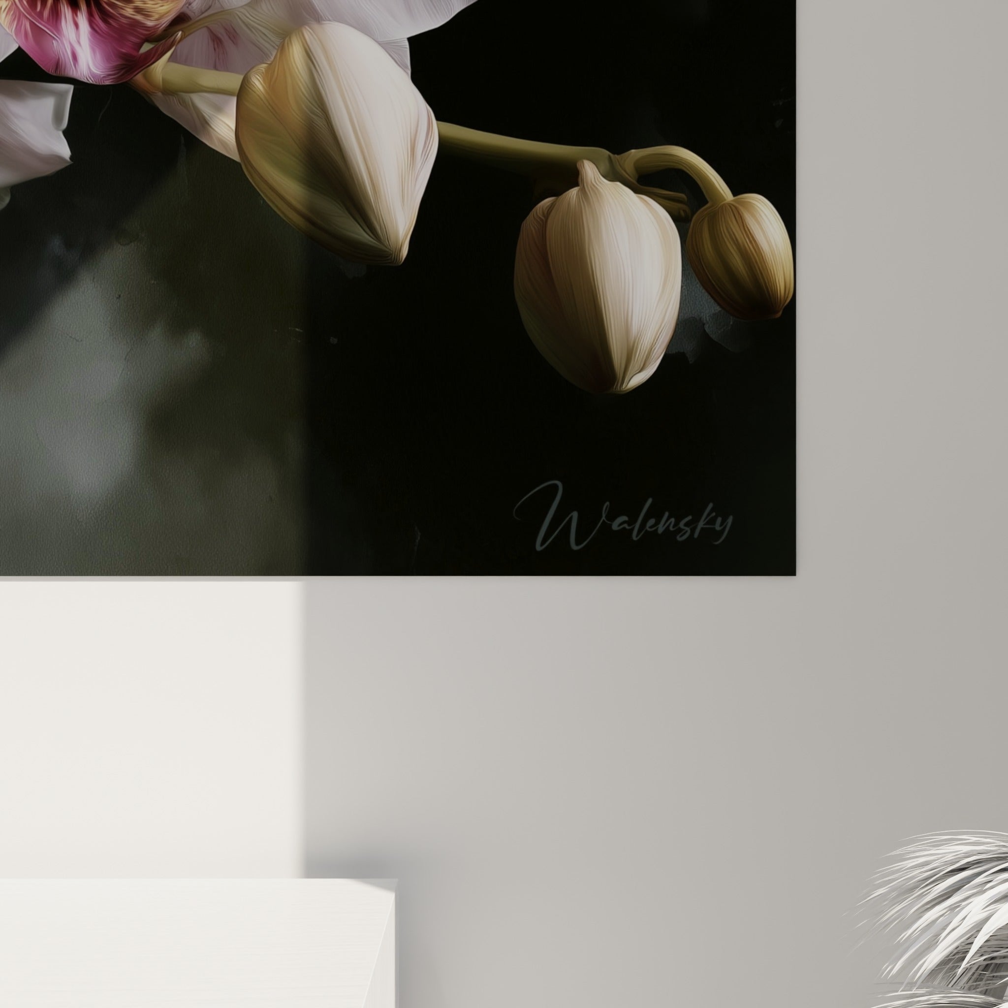 Détail des pétales d'orchidée blancs et pourpres révélant la texture fine de l'impression et du fond anthracite