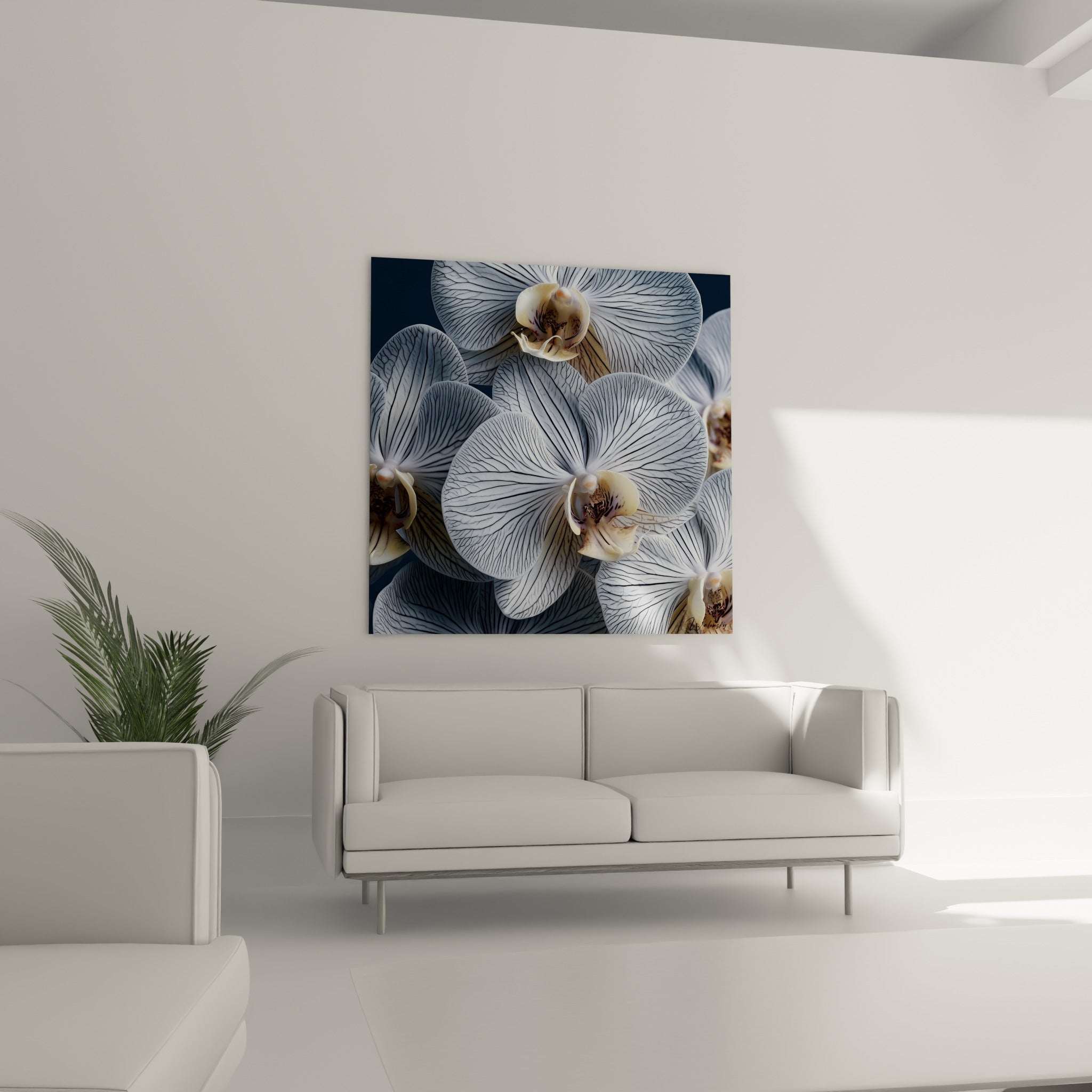 Fleurs d'orchidée blanches et anthracite disposées au-dessus d'un canapé dans un salon lumineux