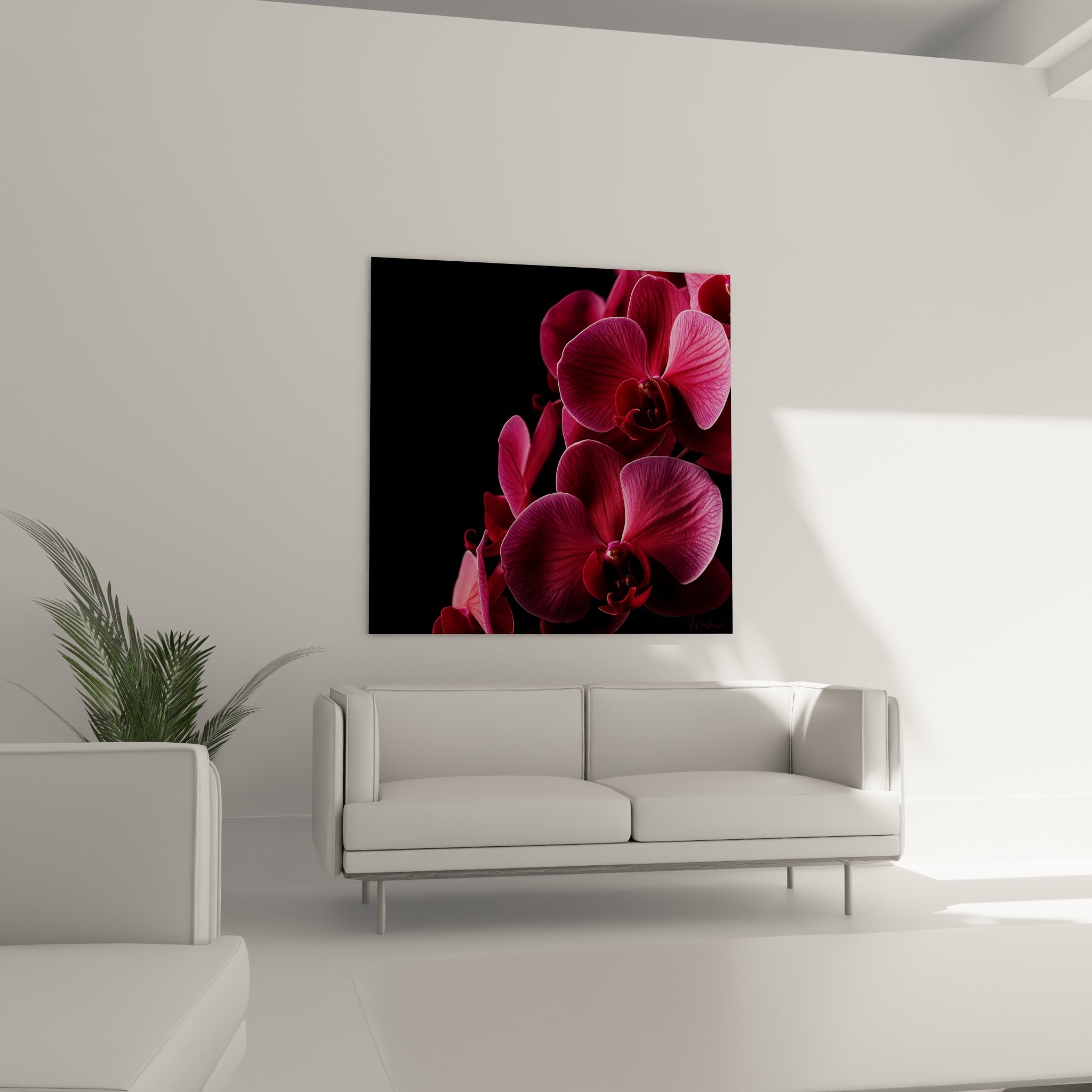Fleurs d'orchidée fuchsia et grenat sur fond noir mat, suspendues au-dessus d'un canapé dans un salon lumineux