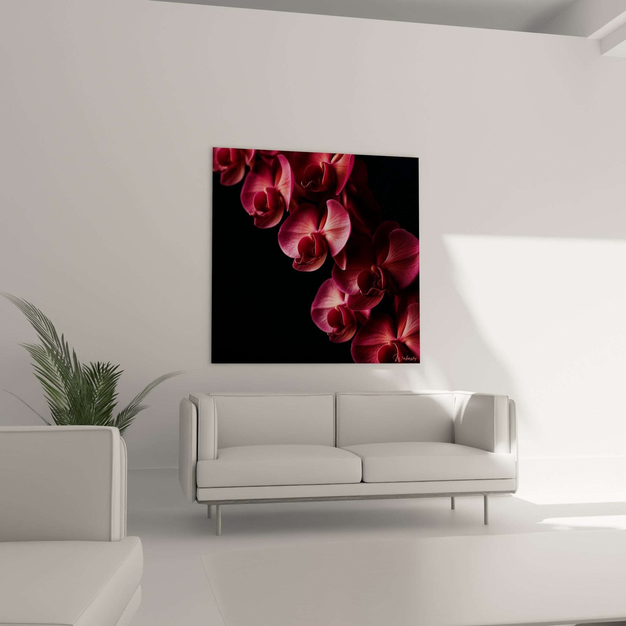Pétales d'orchidée fuchsia et rose pâle disposés au-dessus d'un canapé dans un salon lumineux