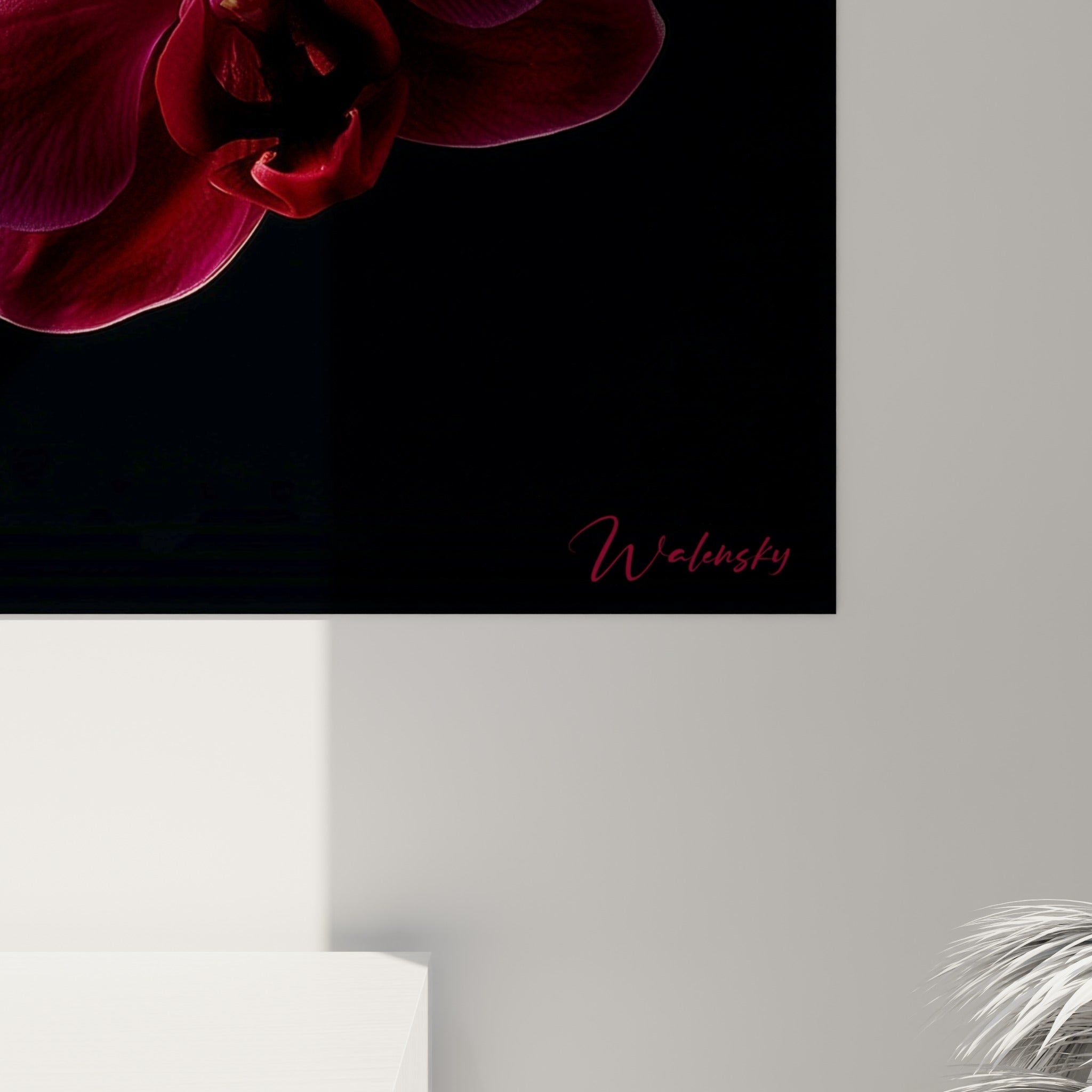 Pétales d'orchidée fuchsia et bordeaux révélant leurs nervures fines et leur texture soyeuse en gros plan