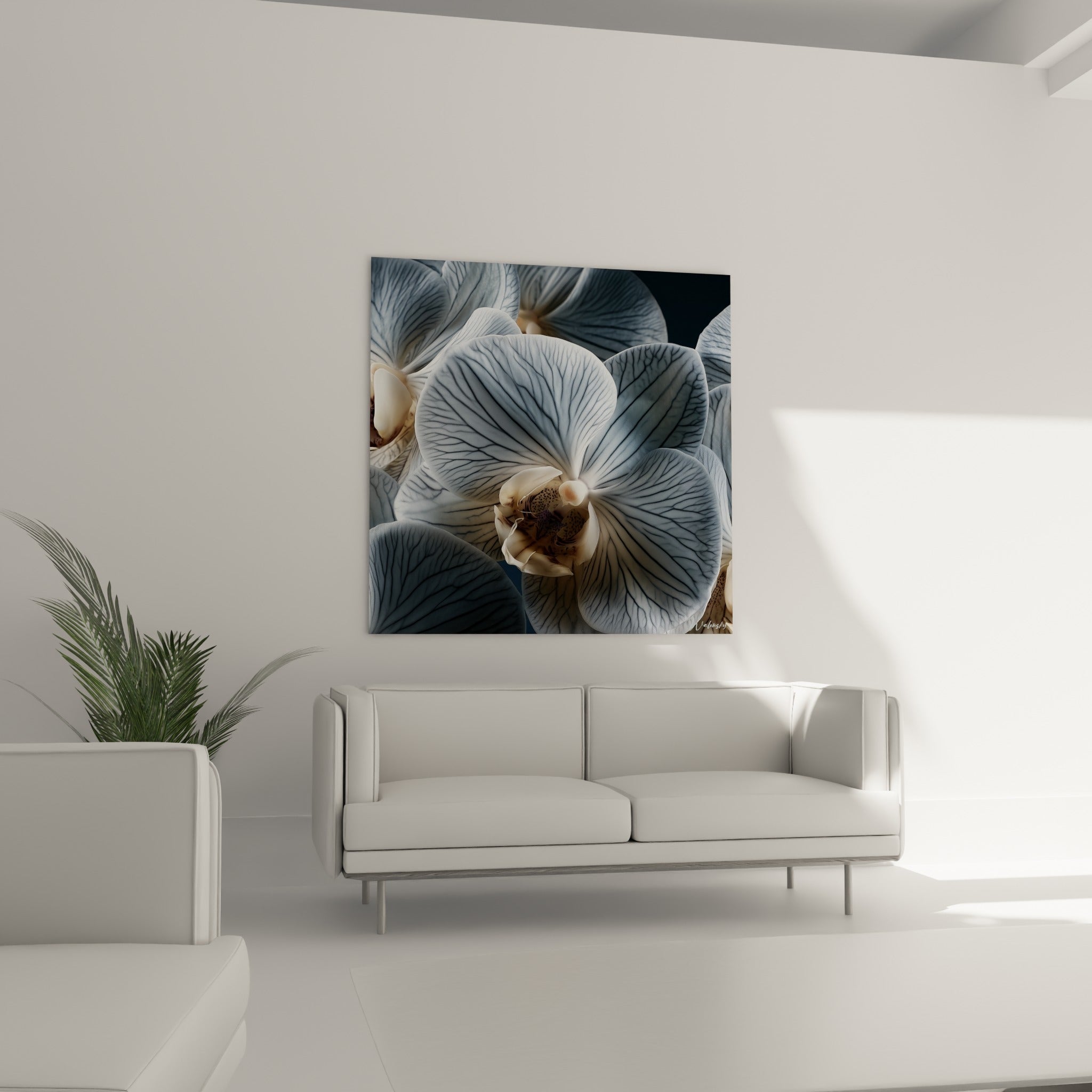 Pétales d'orchidée crème et bleu pastel finement veinés, au-dessus d'un canapé dans un salon lumineux