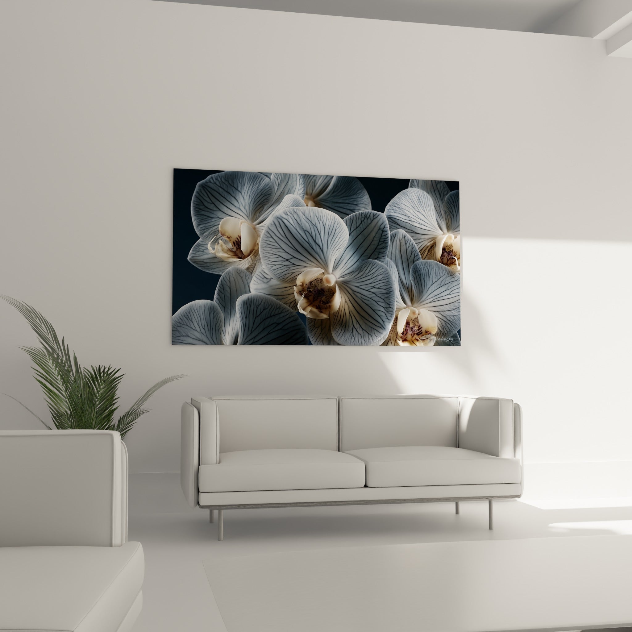 Pétales d'orchidée gris bleuté et cœur crème veiné, suspendus au-dessus d'un canapé dans un salon lumineux