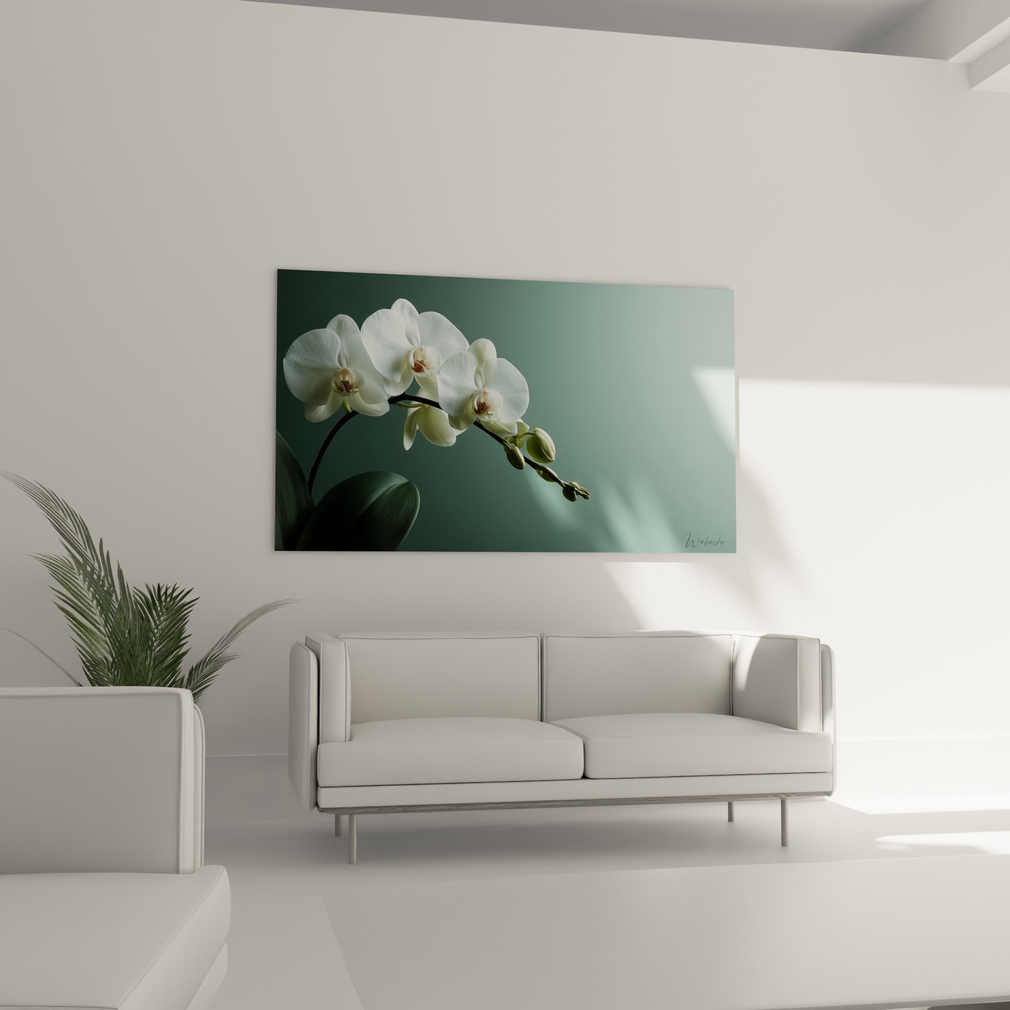 Pétales blancs d'orchidée et cœur brun rouille au-dessus d'un canapé dans un salon lumineux