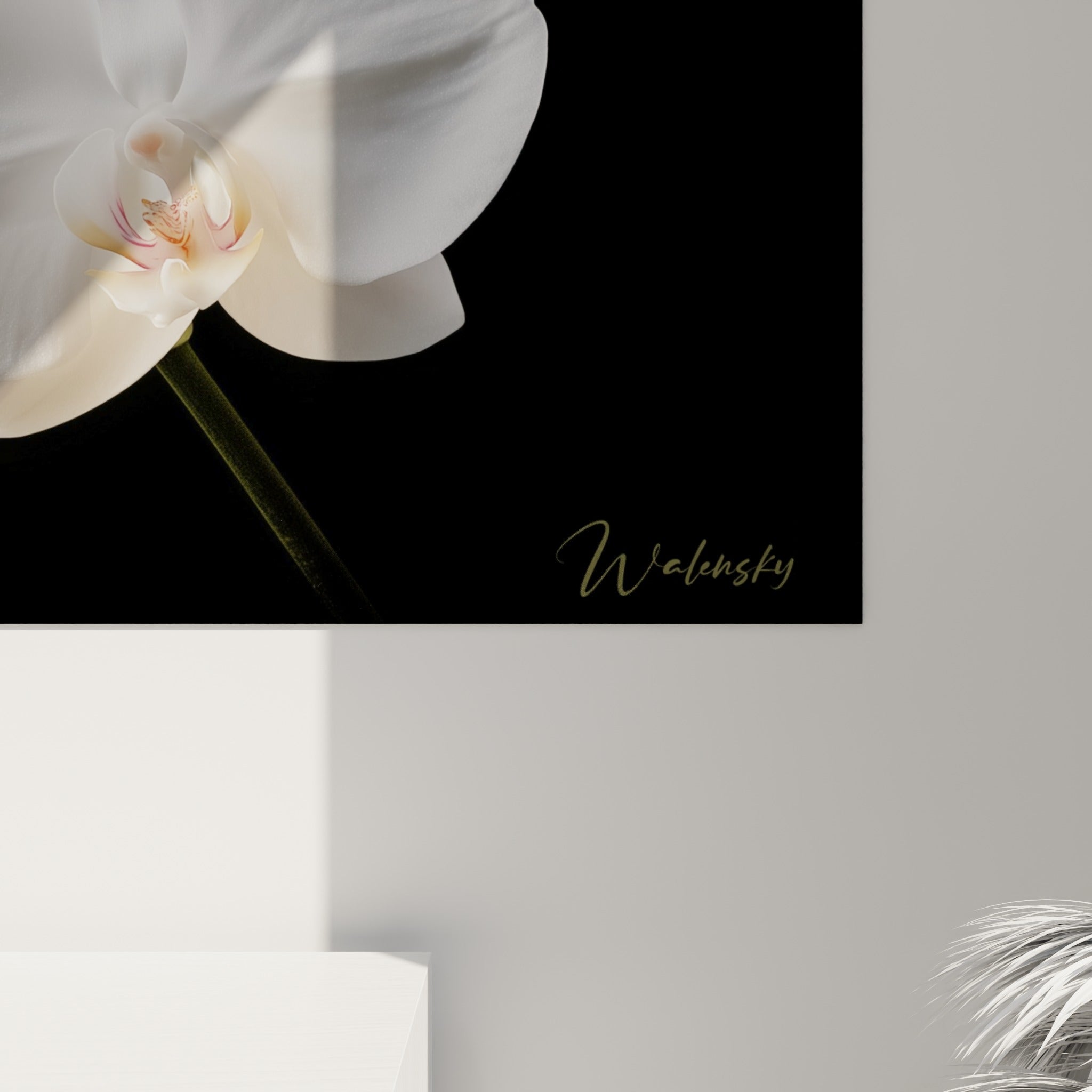 Pétales nacrés d'orchidée capturant la lumière, grain satiné et nuances roses en gros plan sur l'impression