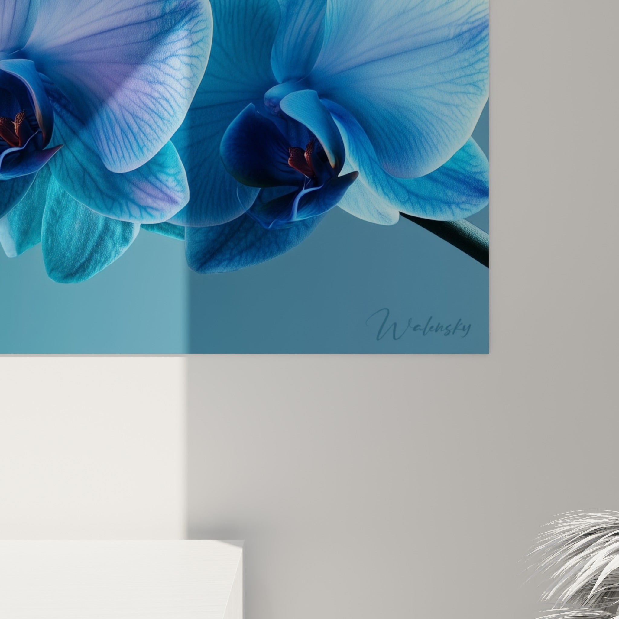 Pétales d'orchidée bleu marine aux veines violettes, grain satiné et reflets lumineux visibles de près