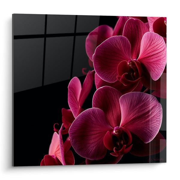 Tableau Orchidées magenta et noir aux nervures marquées - Reflets sur carrelage sombre - Edition Orchidée
