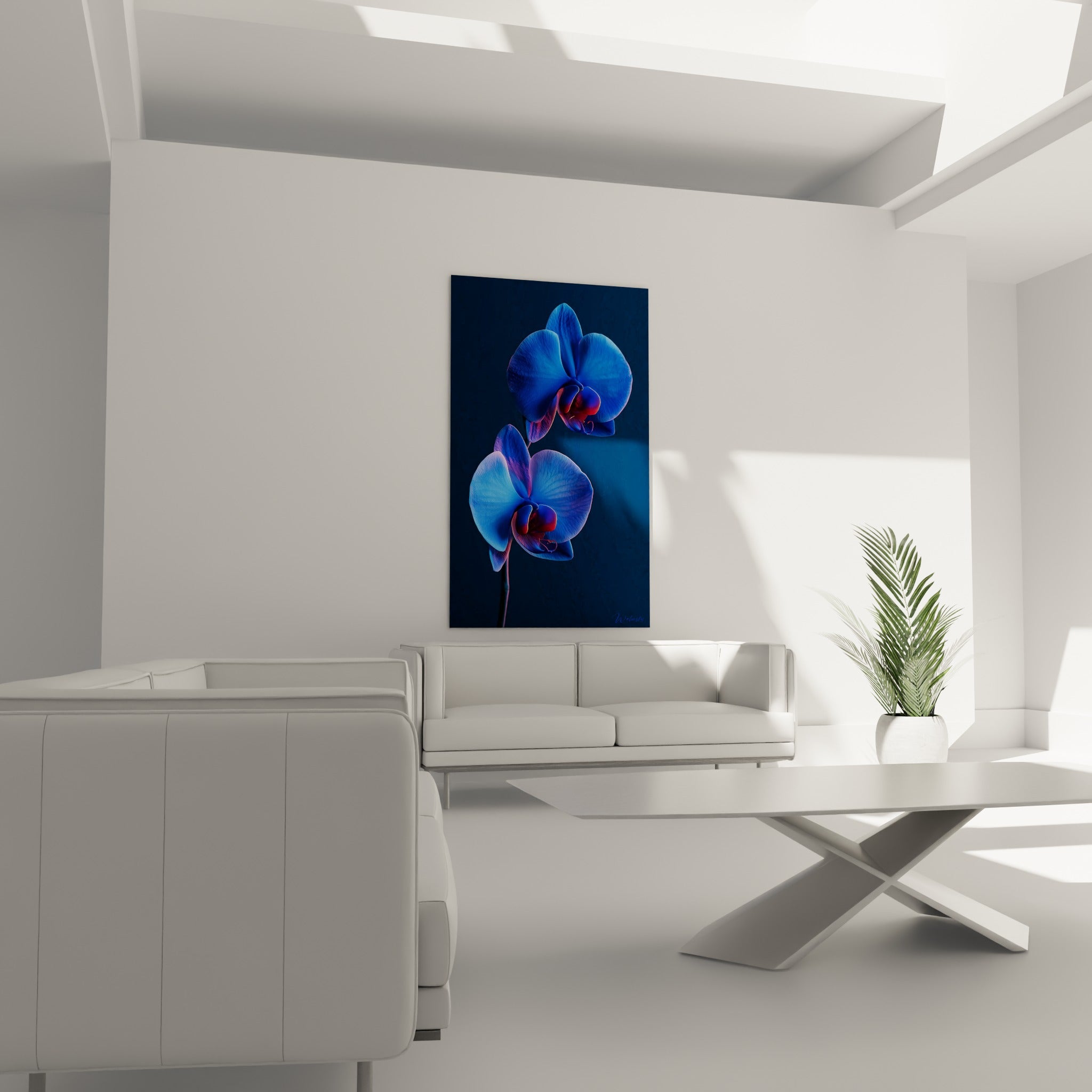 Pétales d'orchidée bleu marine et rouge accrochés au-dessus d'un canapé dans un salon lumineux