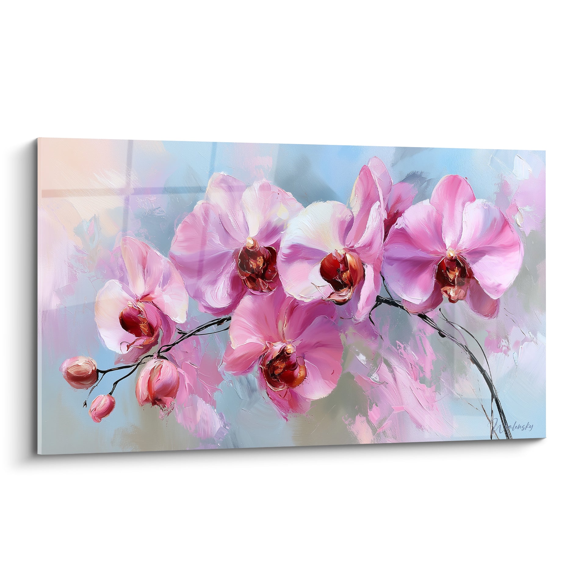 Orchidée rose et blanche aux cœurs cuivrés, pétales veloutés sur fond bleu pastel estompé