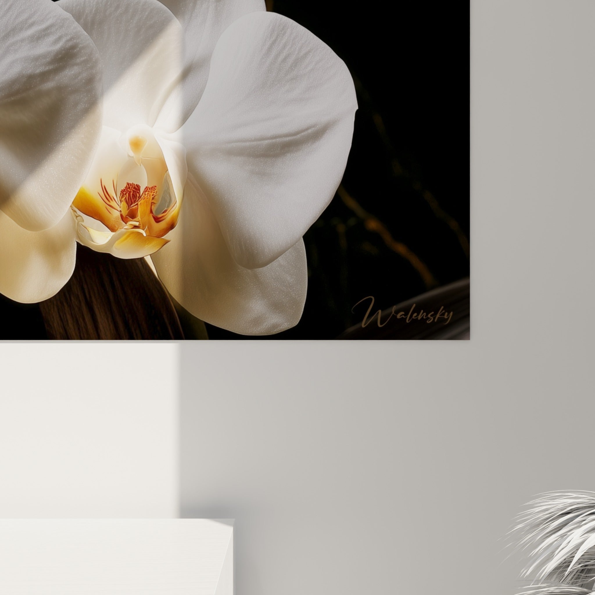 Grain du marbre anthracite et veines dorées entourant les pétales blancs de l'orchidée en gros plan
