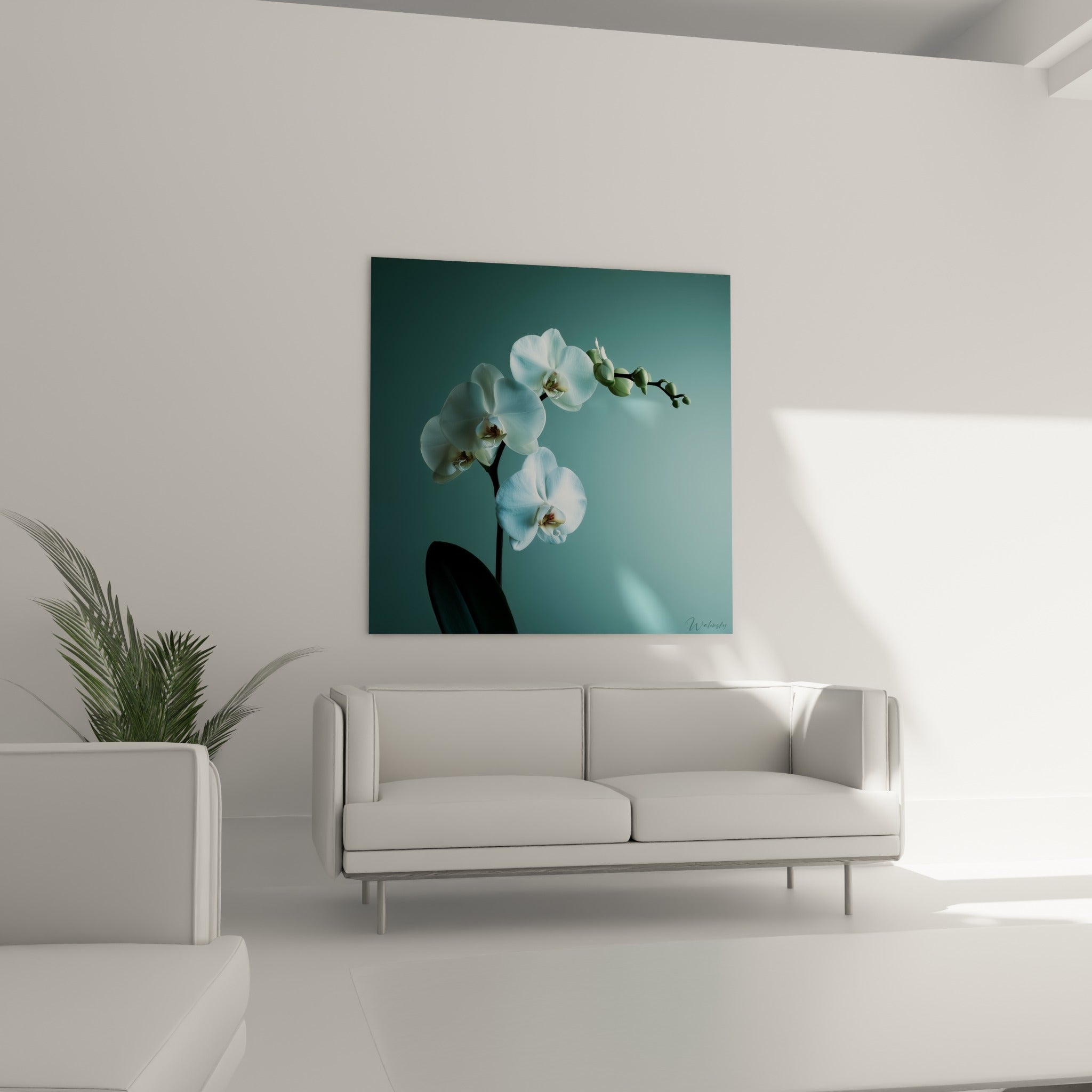 Tige d'orchidée blanche sur fond céladon accrochée au-dessus d'un canapé dans un salon lumineux
