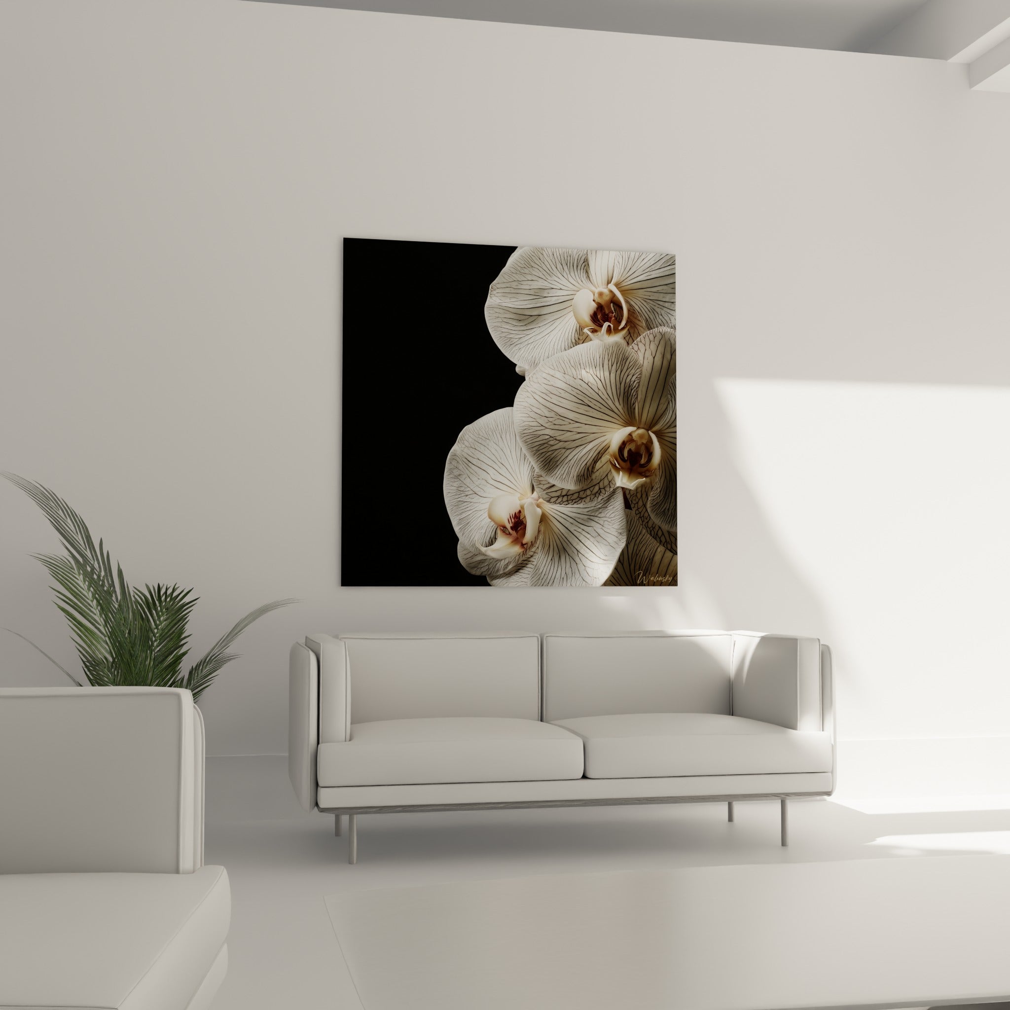 Pétales d'orchidée blanche veinés de gris surplombant un canapé dans un salon lumineux