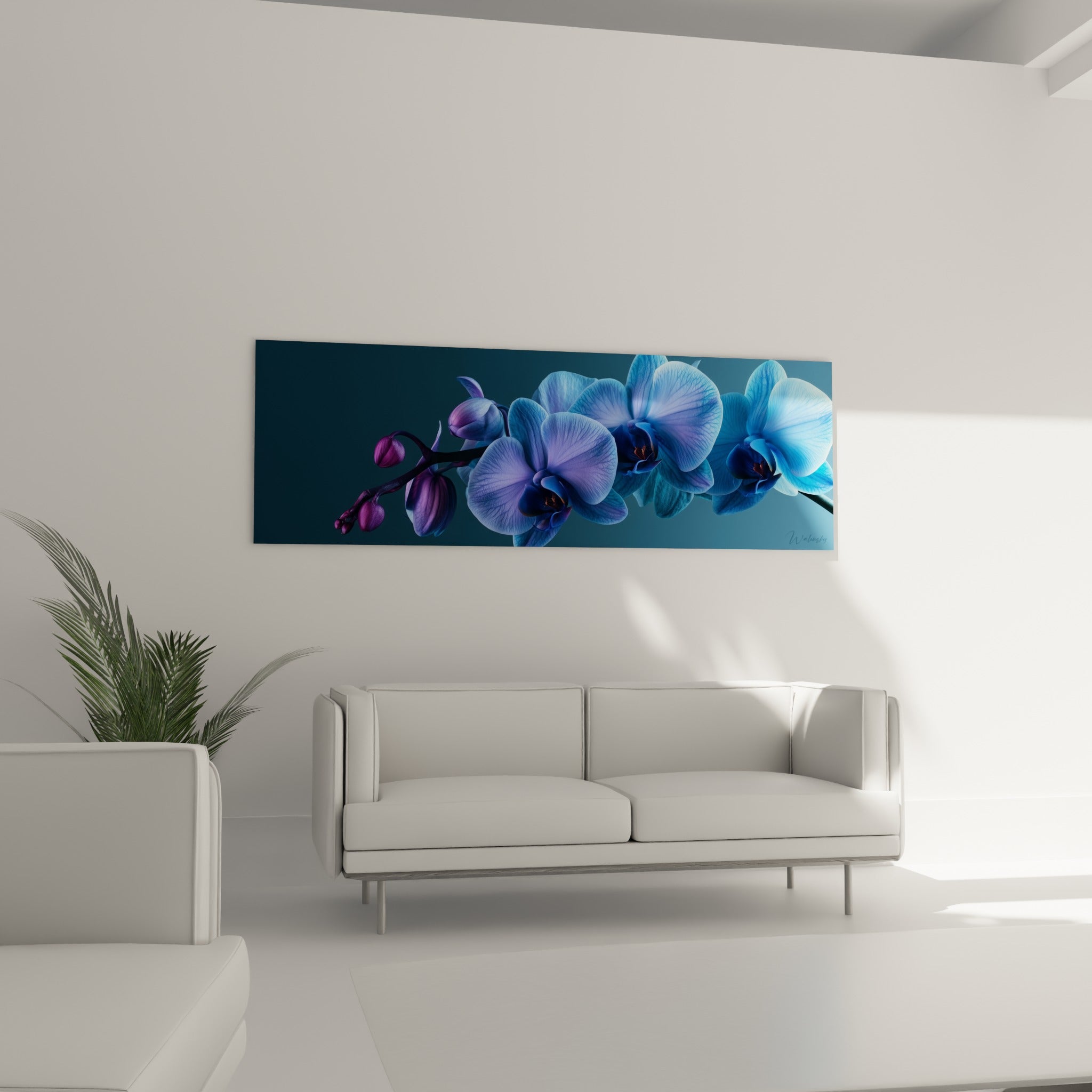 Fleurs d'orchidée violettes et bleutées, boutons fuchsia, au-dessus d'un canapé dans un salon lumineux