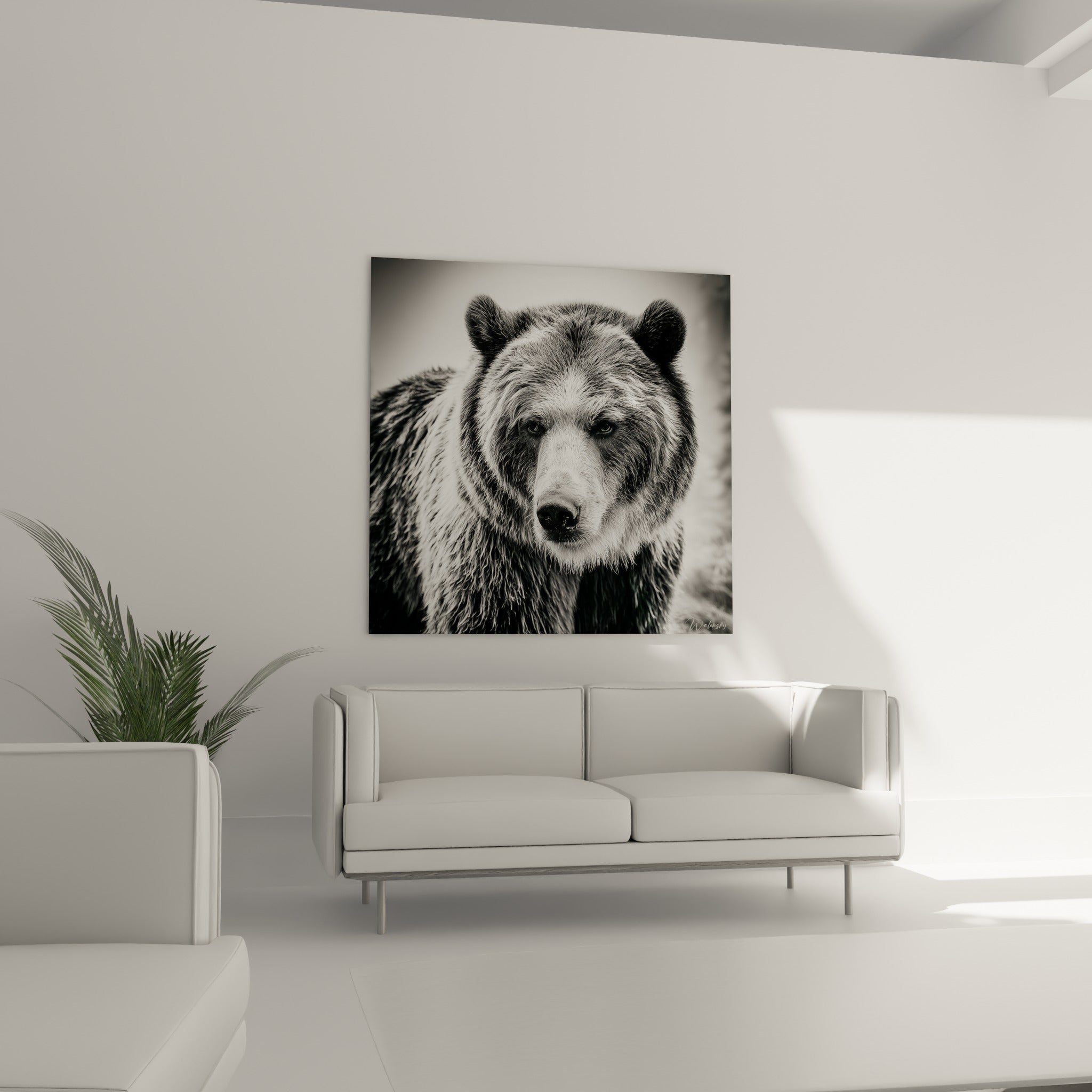 Museau clair et fourrure anthracite de l'ours brun, disposé au-dessus d'un canapé dans un salon lumineux