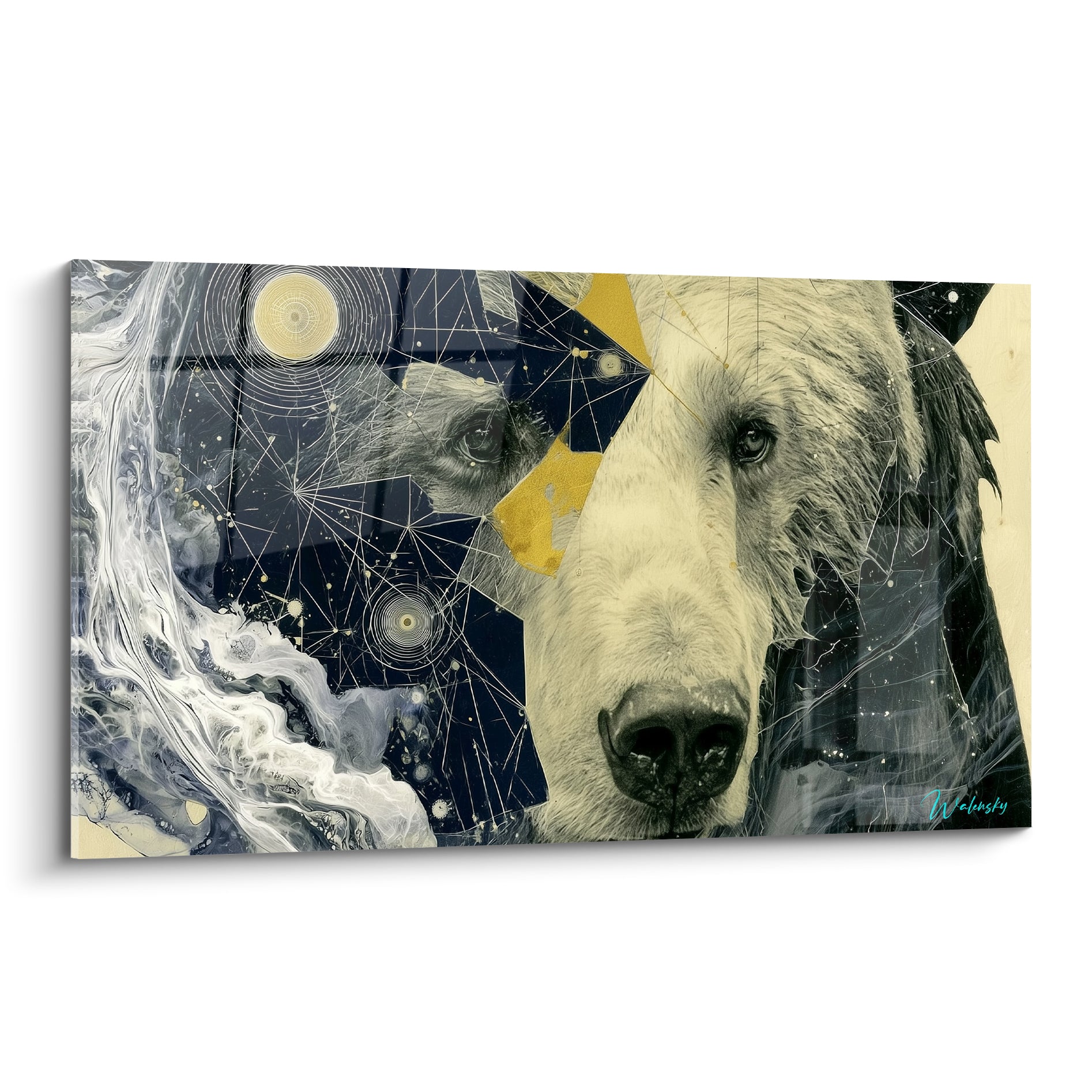 Ours brun au regard intense sur fond bleu marine constellé d'éclats dorés et blancs