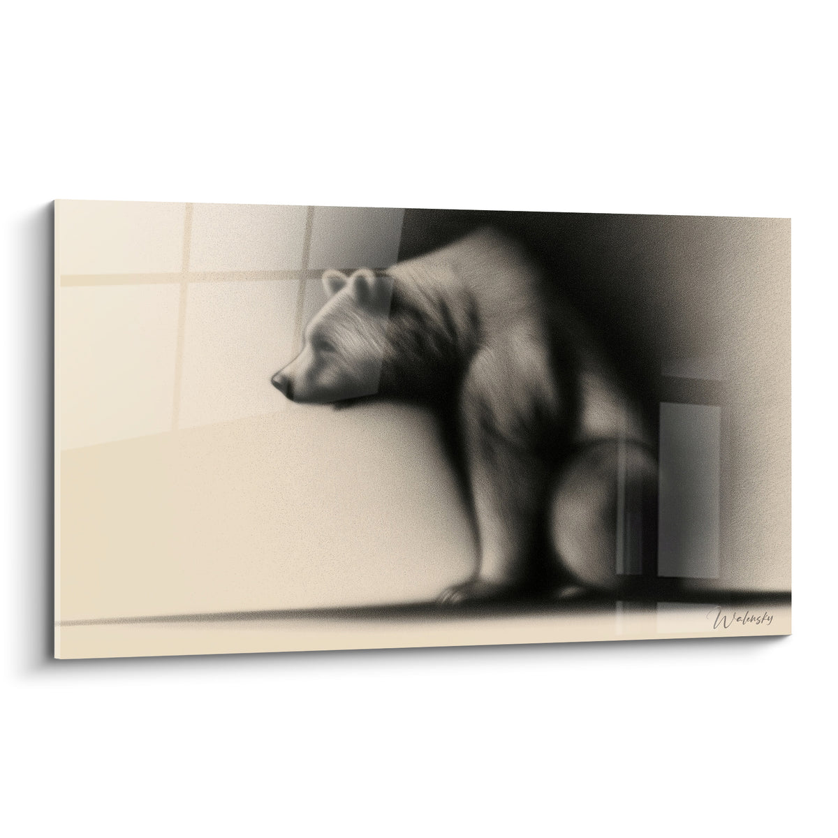 Ours brun accroupi aux teintes ivoire et anthracite, posture recroquevillée sur fond graphique flouté