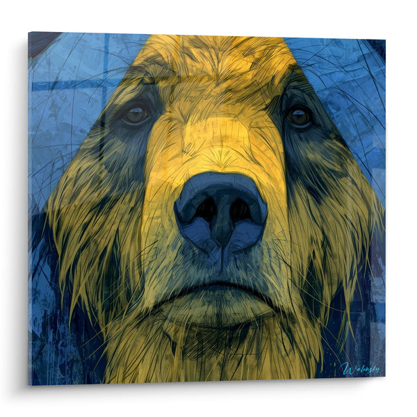 Tableau Ours brun doré au fond bleu nuit - Face à face sauvage - Edition Ours brun
