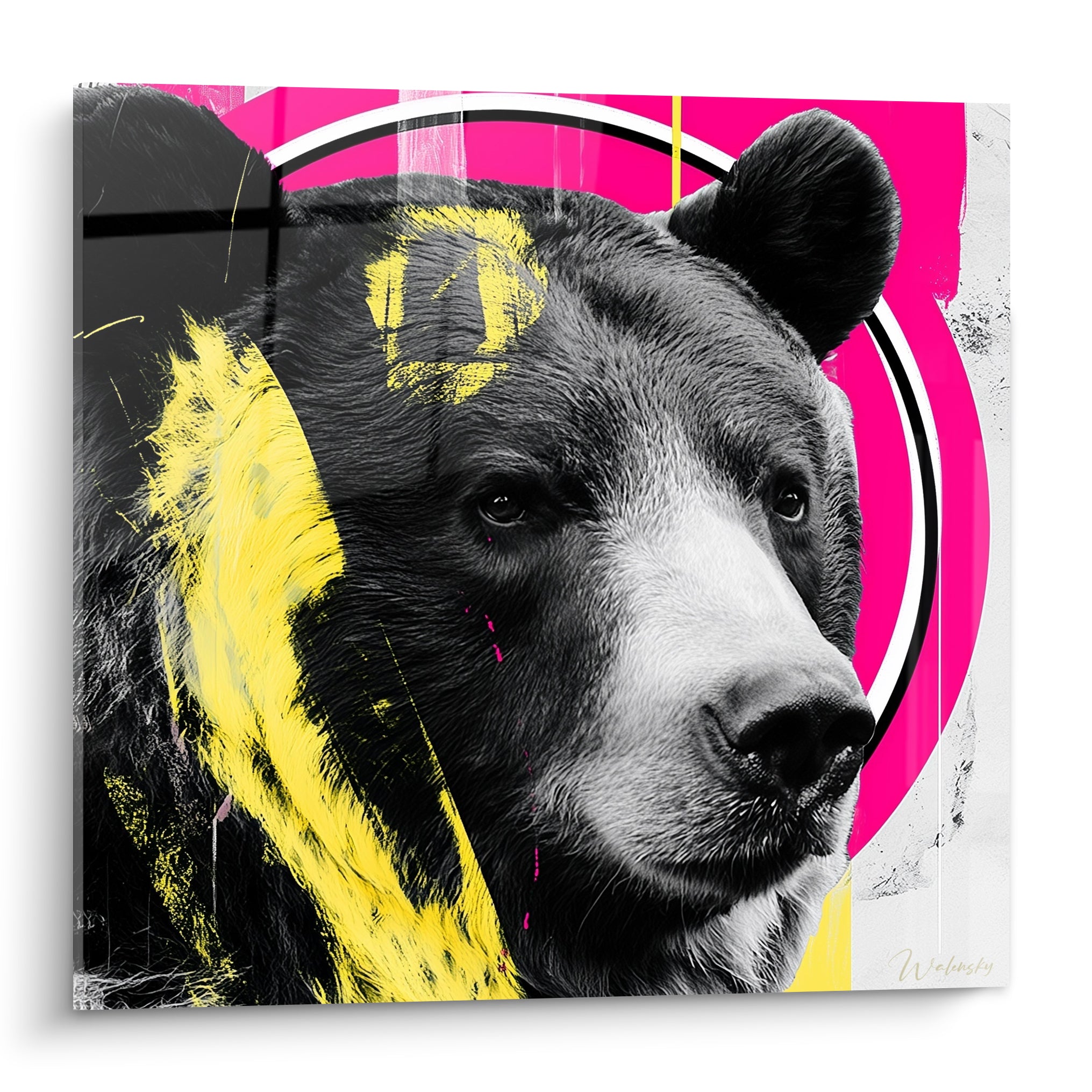 Ours brun capturé en noir et blanc avec cercles roses fuchsia et coulures jaunes traversant son pelage