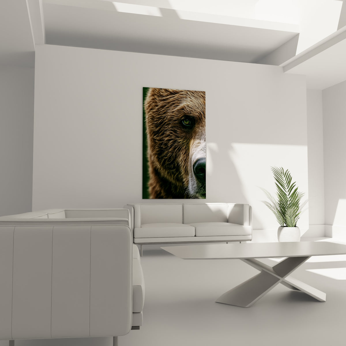 Pelage fauve et doré d'un ours brun disposé au-dessus d'un canapé dans un salon lumineux