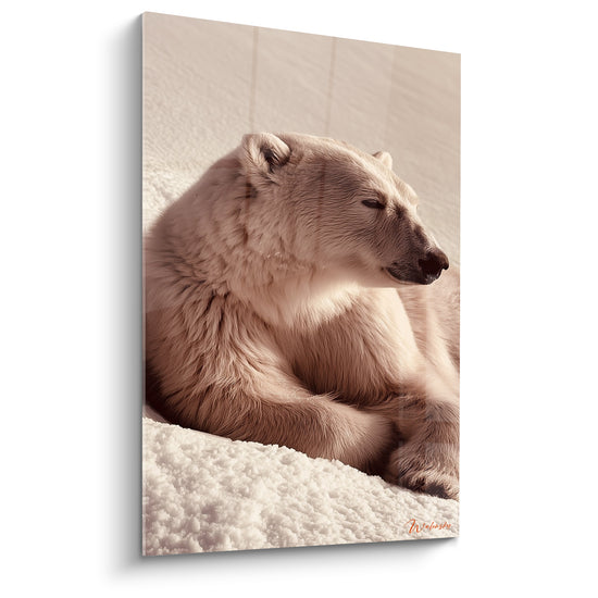 Ours polaire allongé aux tons beige et crème, museau sombre, lumière dorée sur fond neigeux flou
