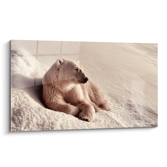 Ours polaire allongé, pelage beige rosé et crème, regard tourné vers l'horizon enneigé