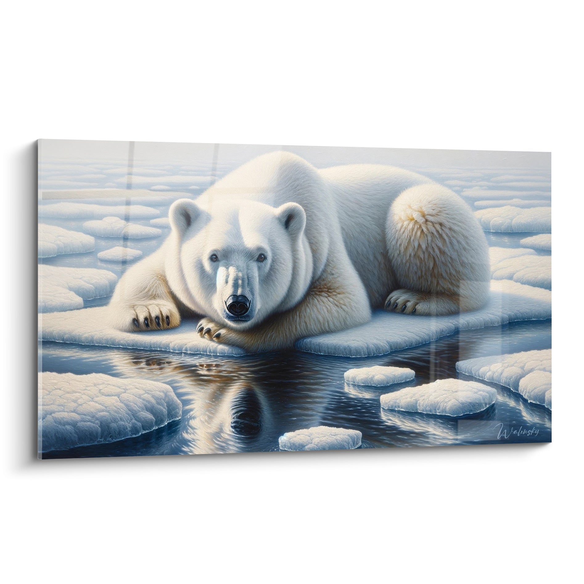 Ours polaire blanc couché sur banquise bleu glacier, regard fixe et reflet dans l'eau sombre