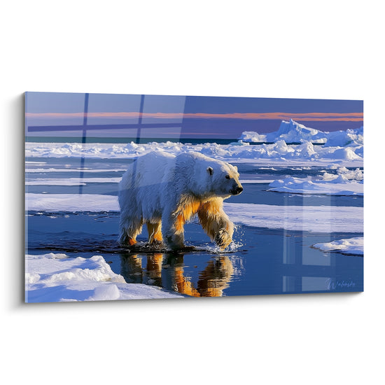 Ours polaire blanc traversant la glace bleue, reflets dorés au crépuscule arctique