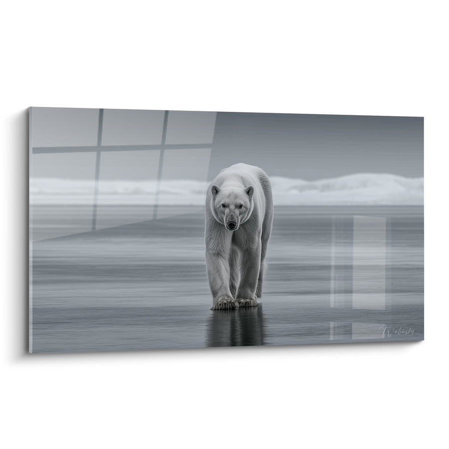 Tableau Ours blanc et gris sur eau miroitante - Reflet sur glace fondue - Edition Ours polaire
