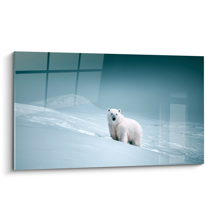 Tableau Ours polaire blanc et bleu sur dune enneigée - Regard tourné vers l'objectif - Edition Ours polaire