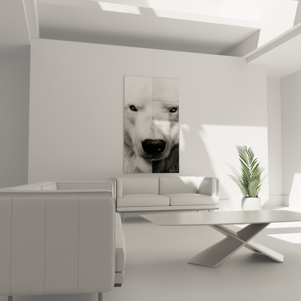 Ours polaire en noir et blanc, contraste marqué entre fourrure claire et truffe sombre, au-dessus d'un canapé dans un salon lumineux.