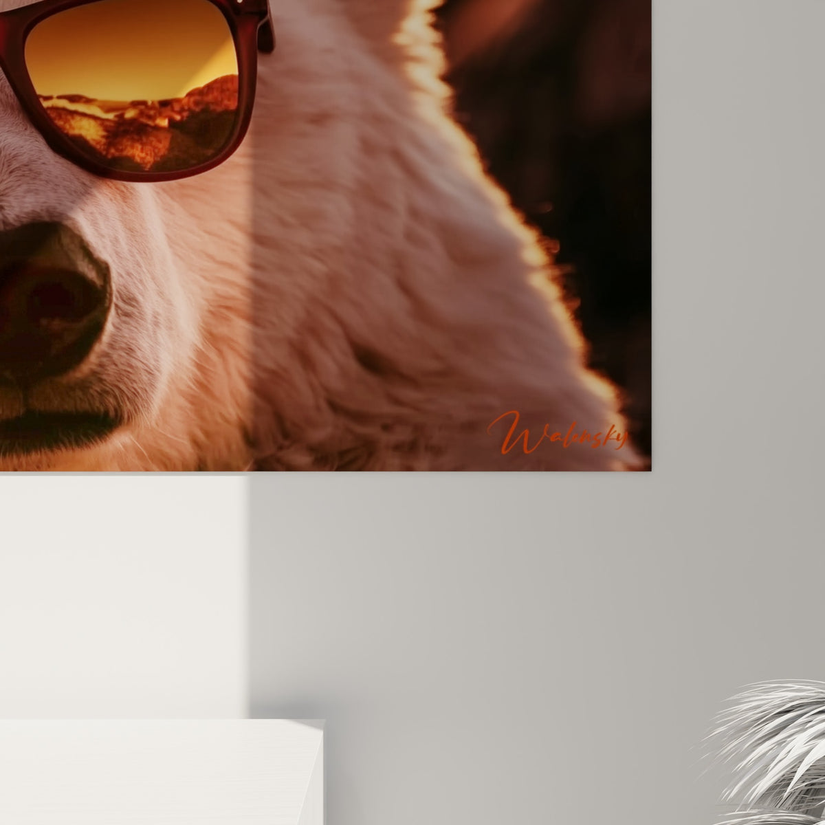 Détail du pelage blanc et des reflets ambrés sur la monture rouge des lunettes d'ours polaire