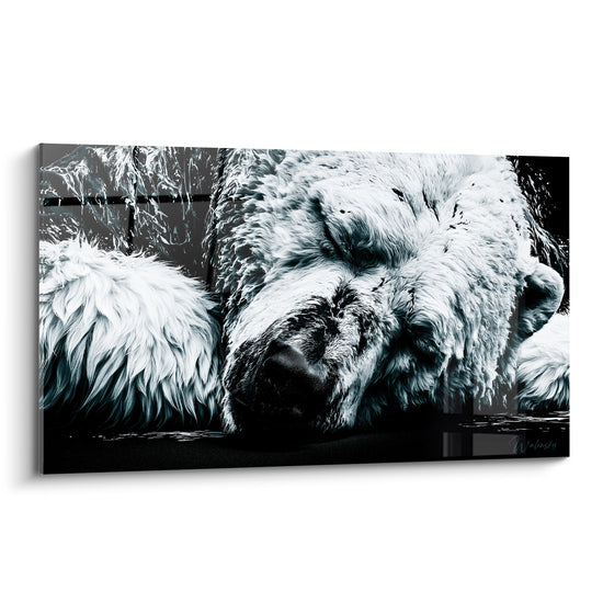 Ours polaire endormi au pelage blanc immaculé, museau noir intense, fond anthracite
