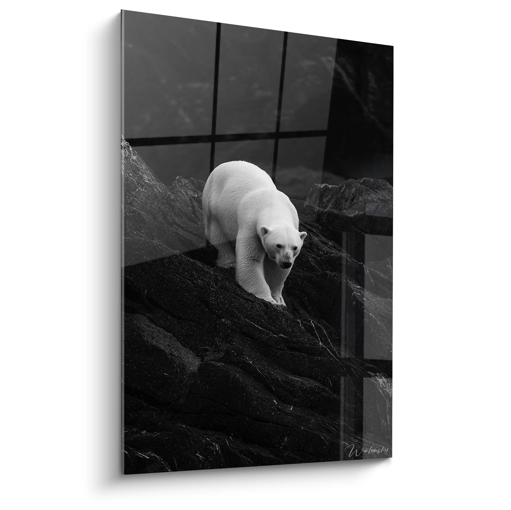 Tableau ours polaire noir et blanc sur rochers - Art animalier moderne pour décoration murale