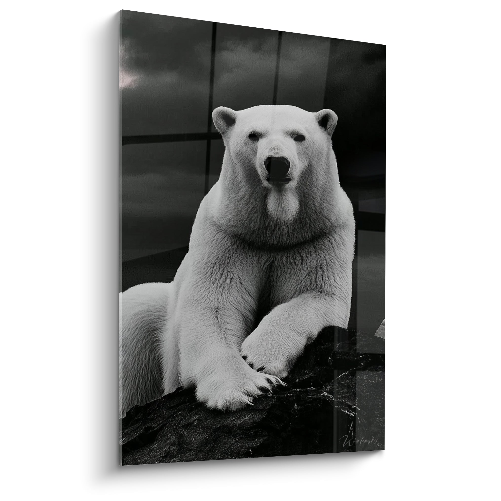 Ours polaire blanc accoudé sur un rocher noir, contraste marqué avec le fond gris anthracite nuageux