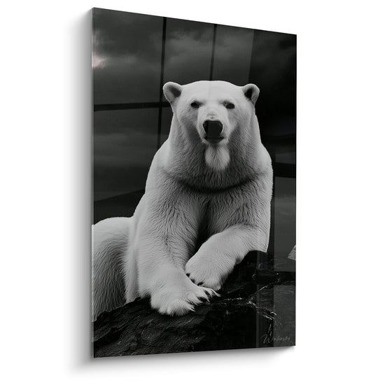 Ours polaire blanc accoudé sur un rocher noir, contraste marqué avec le fond gris anthracite nuageux