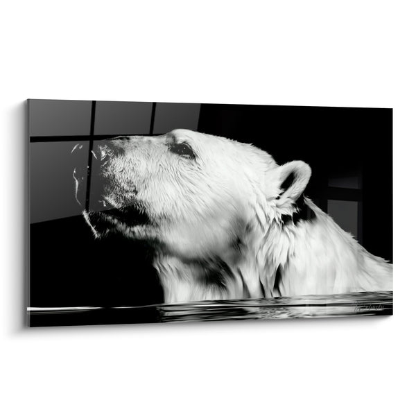 Tableau Ours polaire blanc et noir immergé - Émersion silencieuse - Edition Ours polaire