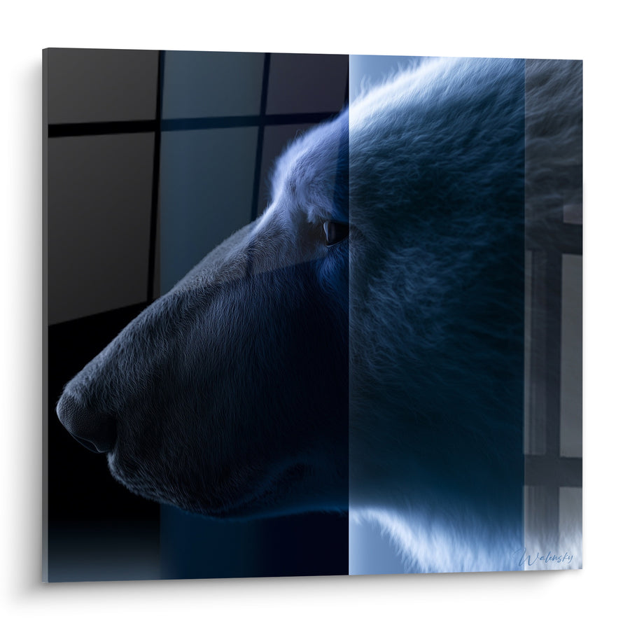 Tableau Ours polaire en profil bleu nuit - Veille silencieuse - Edition Ours polaire