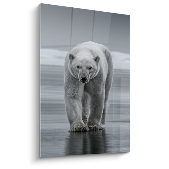 Ours polaire blanc au regard sombre sur fond gris anthracite et glace réfléchissante