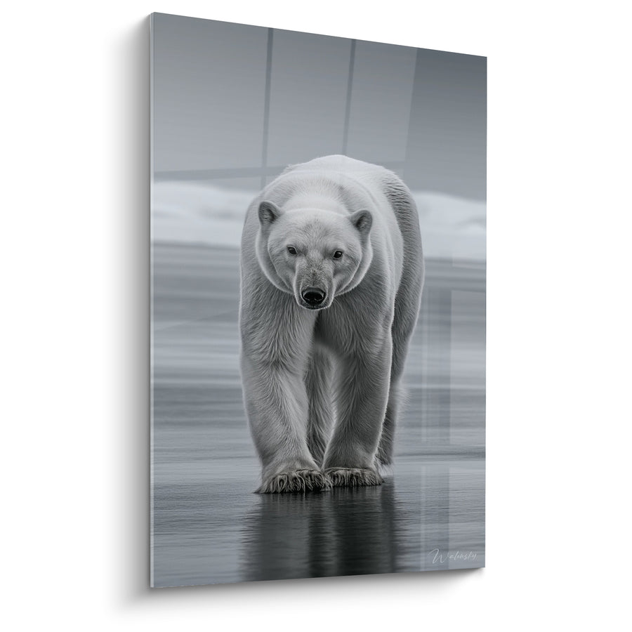 Tableau Ours polaire blanc et gris avançant sur l'eau - Reflet immobile sur glace - Edition Ours polaire